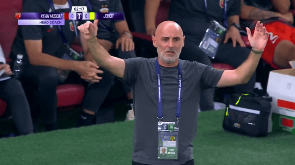 国际比赛日亚冠传出新动向，新奥尔良鹈鹕更衣室发声，管理层表态——赛场秩序良好，赛程密集仍需轮换的简单介绍